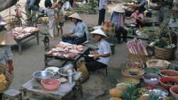 chum anh cuoi mua reu da nam o
