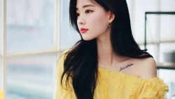 chiem tinh ngay 33 ve tinh yeu cua 12 con giap tuoi suu co don