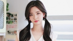 chiem tinh ngay 73 ve cong viec cua 12 con giap tuoi ty met moi
