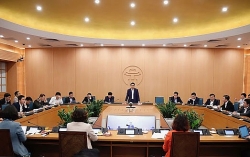 ha noi cong ty cp xnk thuy san ha noi cho thue dat trai quy dinh