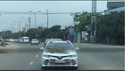 yeu cau tam dinh chi pho giam doc benh vien da khoa to chuc dam cuoi cho con giua mua dich covid 19