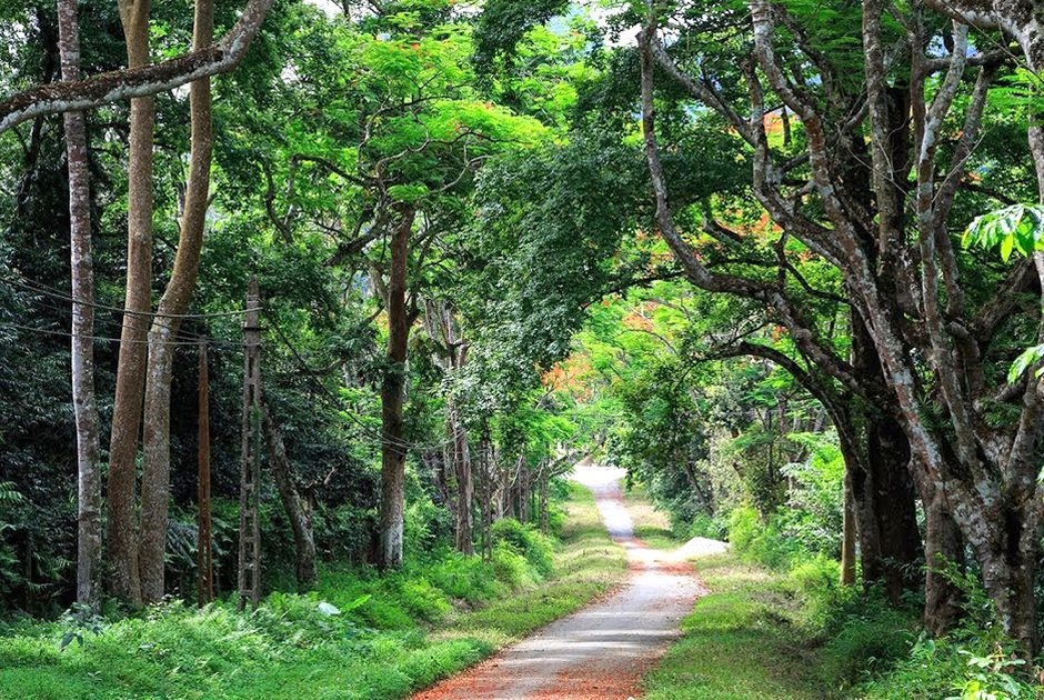 het dich covid 19 du khach trong nuoc nhat dinh nen ghe tham cac diem den cuc hut khach nay