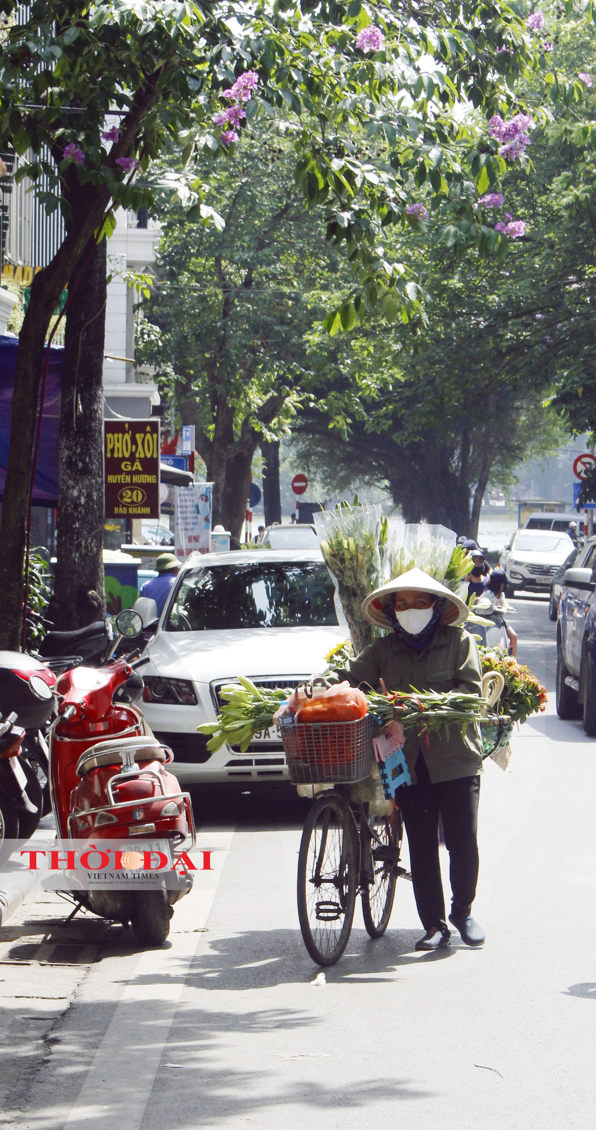 chum anh nhip song ha noi nhung ngay dau ha