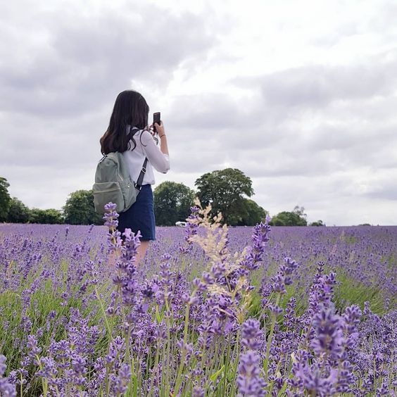 tu vi ngay 176 ve cong viec cua 12 con giap tuoi mao can co gang