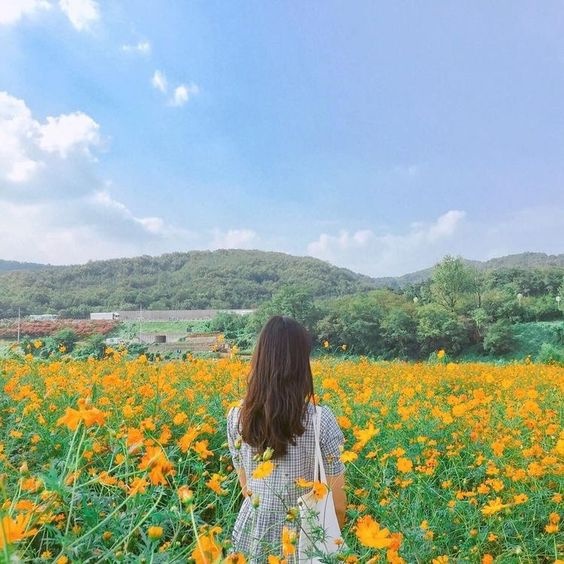 tu vi ngay 176 ve cong viec cua 12 con giap tuoi mao can co gang