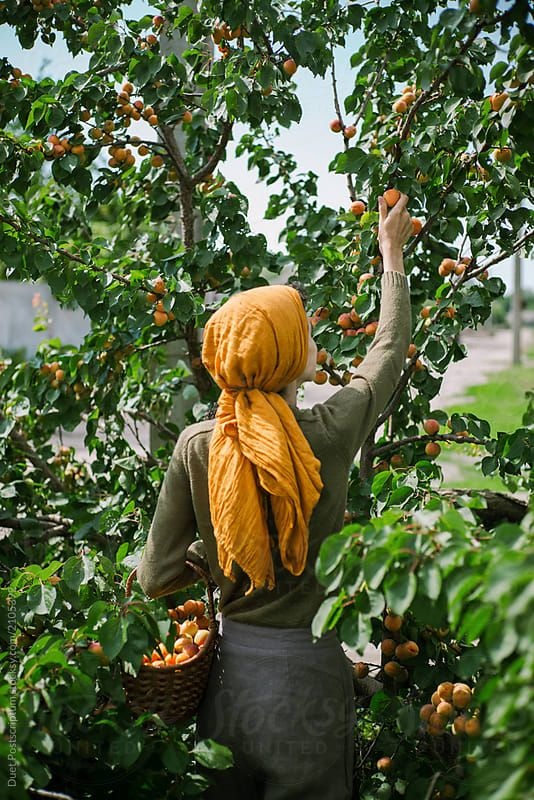 tu vi ngay 186 cua 12 con giap tuoi suu gap kho khan nhat dinh