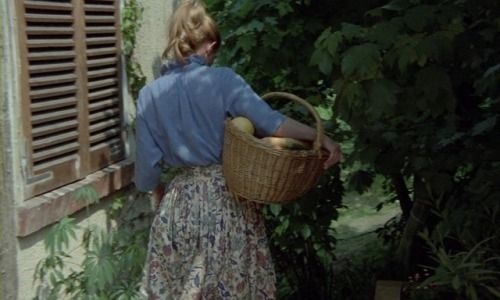 tu vi ngay 206 cua 12 con giap tuoi thin kho khan tuoi suu met moi