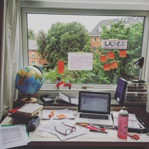 tu vi ngay 226 ve cong viec cua 12 con giap tuoi ty co co hoi hoc hoi