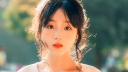 tu vi ngay 286 ve tai chinh cua 12 con giap tuoi ty thu nhap on dinh