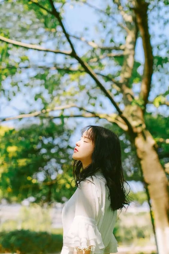 tu vi ngay 306 ve tai chinh cua 12 con giap tuoi dan co tien