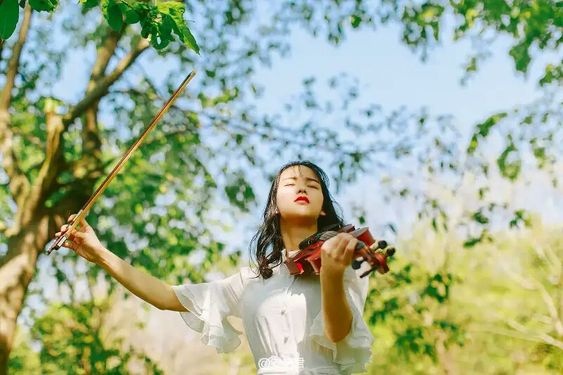 tu vi ngay 306 ve tai chinh cua 12 con giap tuoi dan co tien