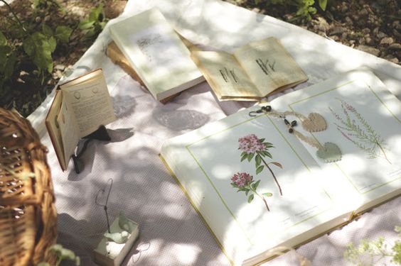 tu vi ngay 27 ve cong viec cua 12 con giap tuoi ngo nen cham lai