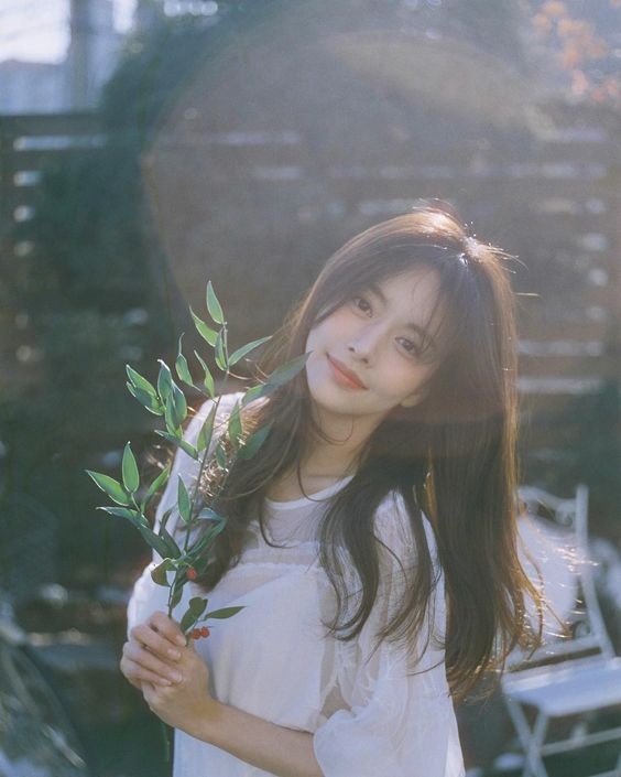 tu vi ngay 137 ve tai chinh cua 12 con giap tuoi dau tien du tieu