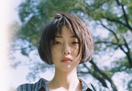 tu vi chiem tinh ngay 257 cua 12 con giap tuoi mao nen uu tien cong viec