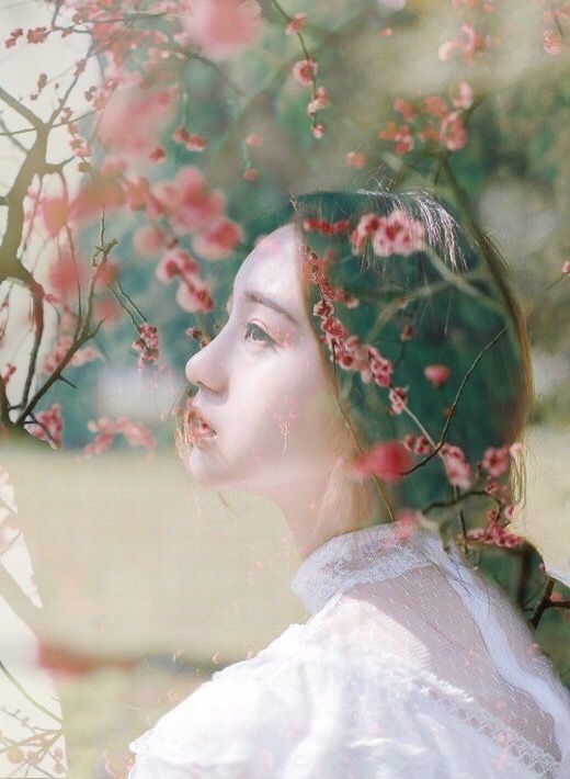 tu vi chiem tinh ngay 38 cua 12 con giap tuoi thin de ket noi tinh cam