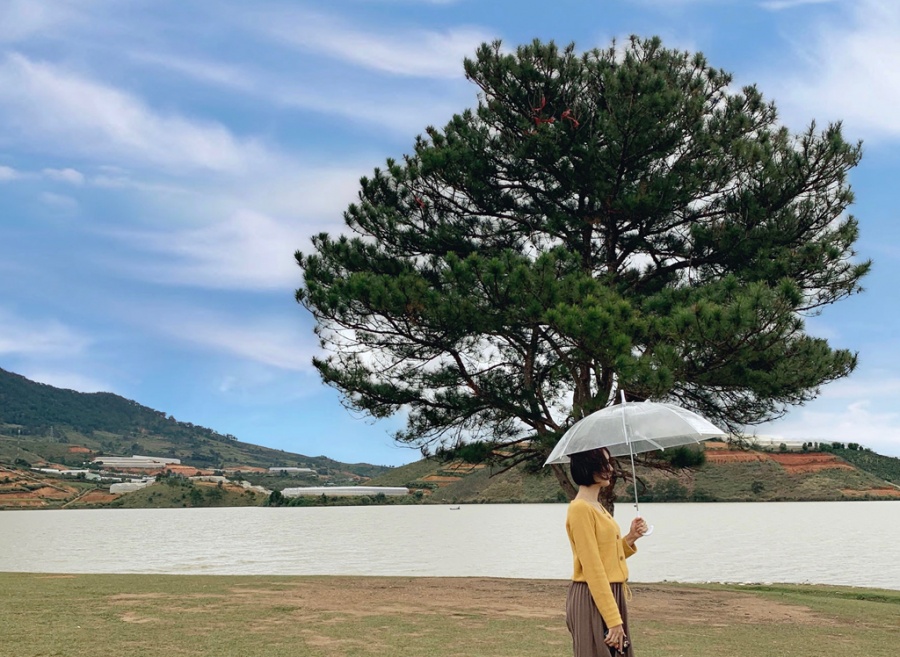 den da lat nen di dau so tay cac diem check in lang man nhat