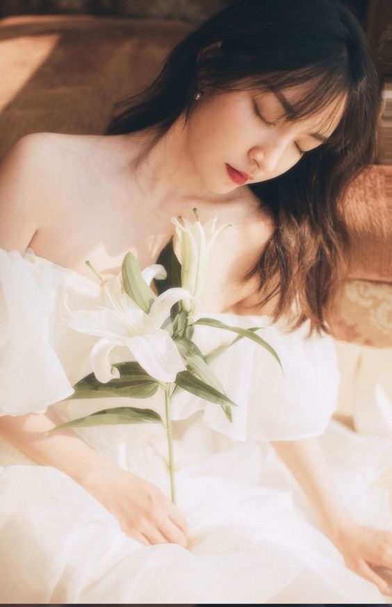 tu vi chiem tinh ngay 248 cua 12 con giap tuoi ty nhieu y tuong moi