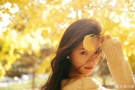 tu vi chiem tinh ngay 268 ve tai chinh cua 12 con giap tuoi hoi tien du tieu