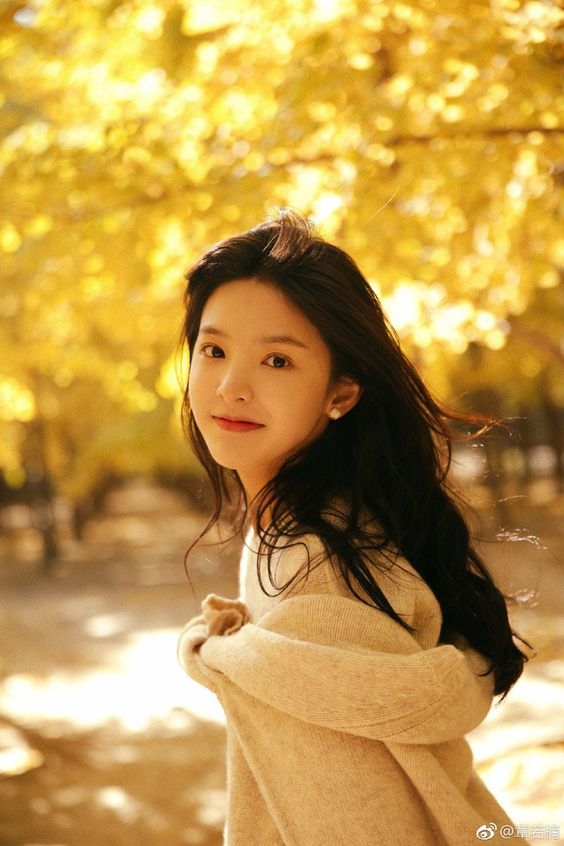 tu vi chiem tinh ngay 268 ve tai chinh cua 12 con giap tuoi hoi tien du tieu