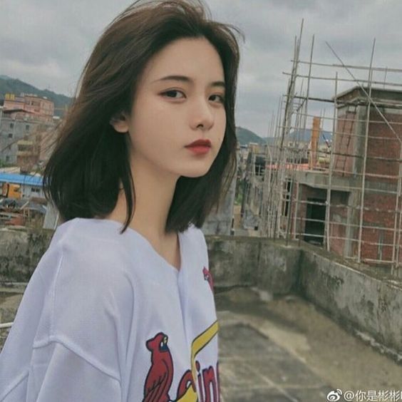 tu vi chiem tinh ngay 278 ve cong viec cua 12 con giap tuoi hoi de stress