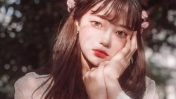 tu vi chiem tinh ngay 139 ve cong viec cua 12 con giap tuoi thin can tap trung