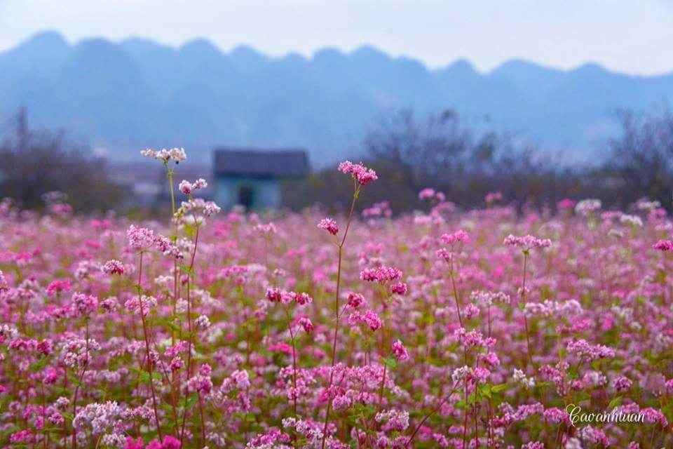 thang 10 nen du lich o dau den xu nay de ngam da quy tam giac mach bong sung no ro