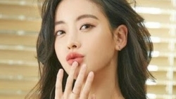 tu vi chiem tinh ngay 126 ve cong viec cua 12 con giap tuoi mao co bien chuyen lon trong cong viec