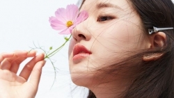 chiem tinh ngay 0310 ve cong viec cua 12 con giap tuoi tuat deo cay giua duong