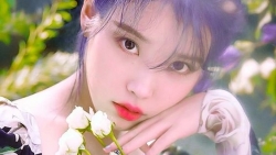 chiem tinh ngay 1210 ve cong viec cua 12 con giap tuoi mao duoi suc