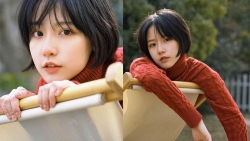 chiem tinh ngay 2110 ve cong viec cua 12 con giap tuoi mao miet mai tao dung