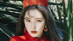 chiem tinh ngay 311 ve cong viec cua 12 con giap tuoi hoi lam nhieu nhung thieu hieu qua