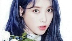 chiem tinh ngay 911 ve cong viec cua 12 con giap tuoi ngo toa sang voi nhung y tuong pha cach