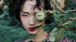 chiem tinh ngay 2111 ve tinh yeu cua 12 con giap tuoi ty ly tri