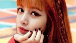 chiem tinh ngay 212 ve cong viec cua 12 con giap tuoi dau nhieu y tuong doc dao