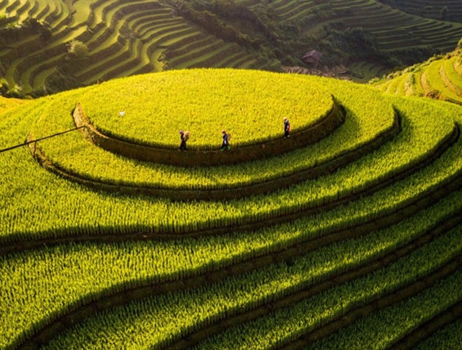 Việt Nam tuyệt đẹp nhìn từ không ảnh trong cuộc thi ảnh quốc tế viet nam tuyet dep nhin tu khong anh trong cuoc thi anh quoc te