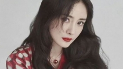 chiem tinh ngay 1012 ve cong viec cua 12 con giap tuoi ty mat tap trung