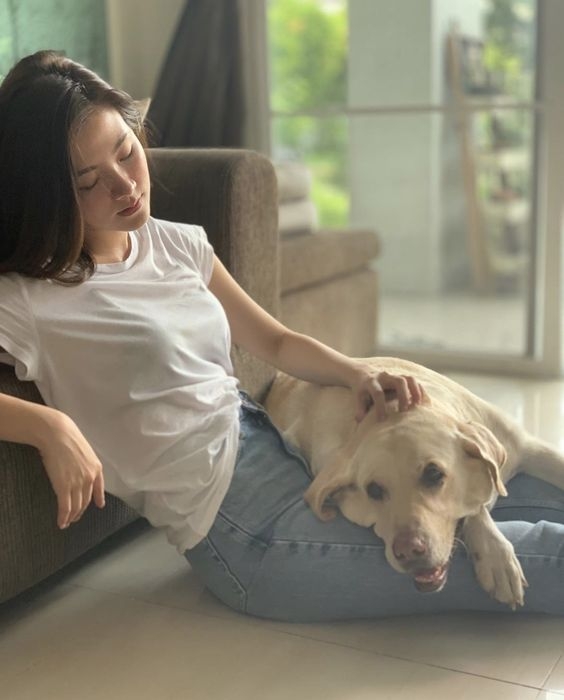 chiem tinh ngay 1812 ve cong viec cua 12 con giap tuoi dan lo lang