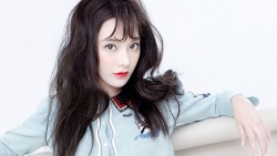 chiem tinh ngay 1912 ve cong viec cua 12 con giap tuoi mao co tin vui