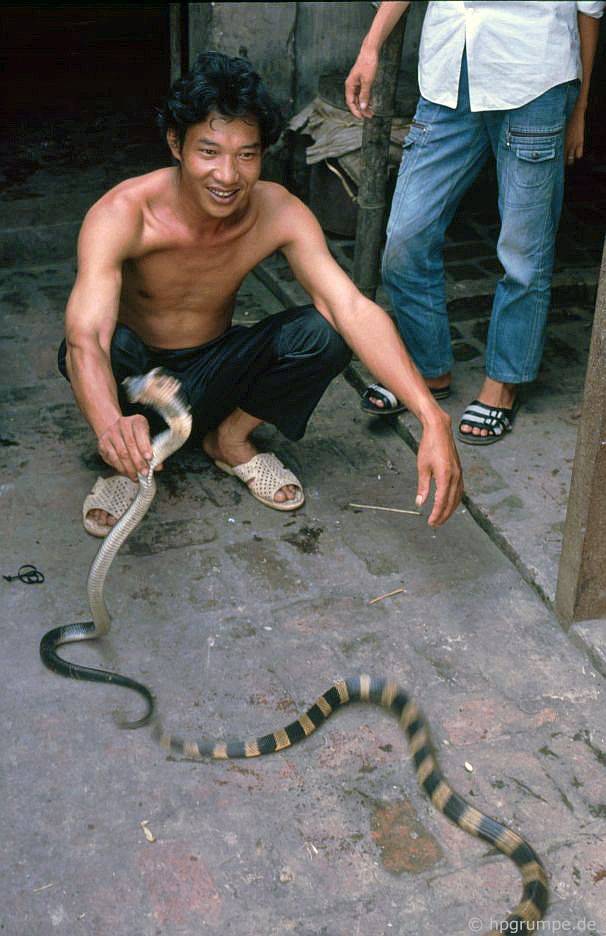 lang gom bat trang lang ran le mat nhung nam 90 co gi dac biet