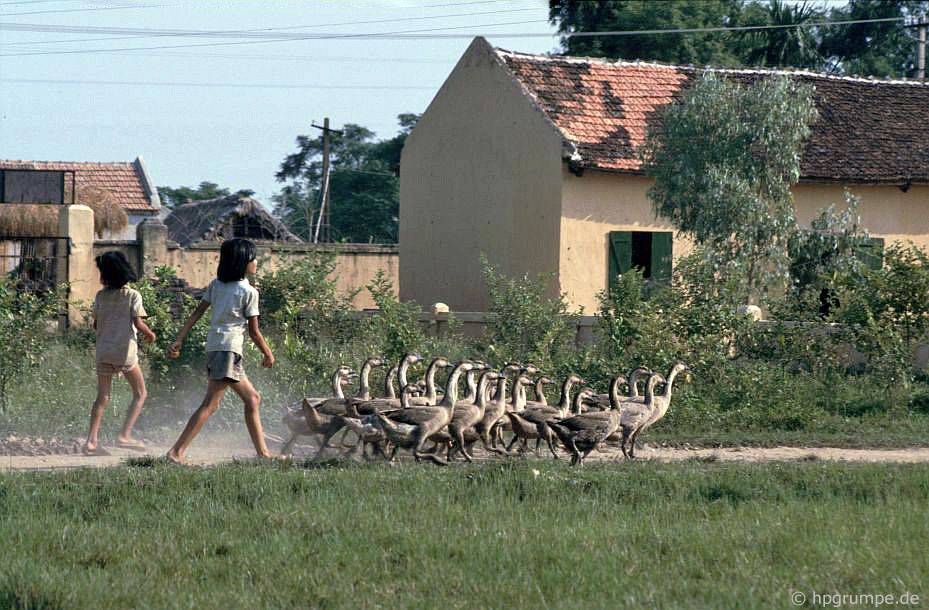 lang gom bat trang lang ran le mat nhung nam 90 co gi dac biet