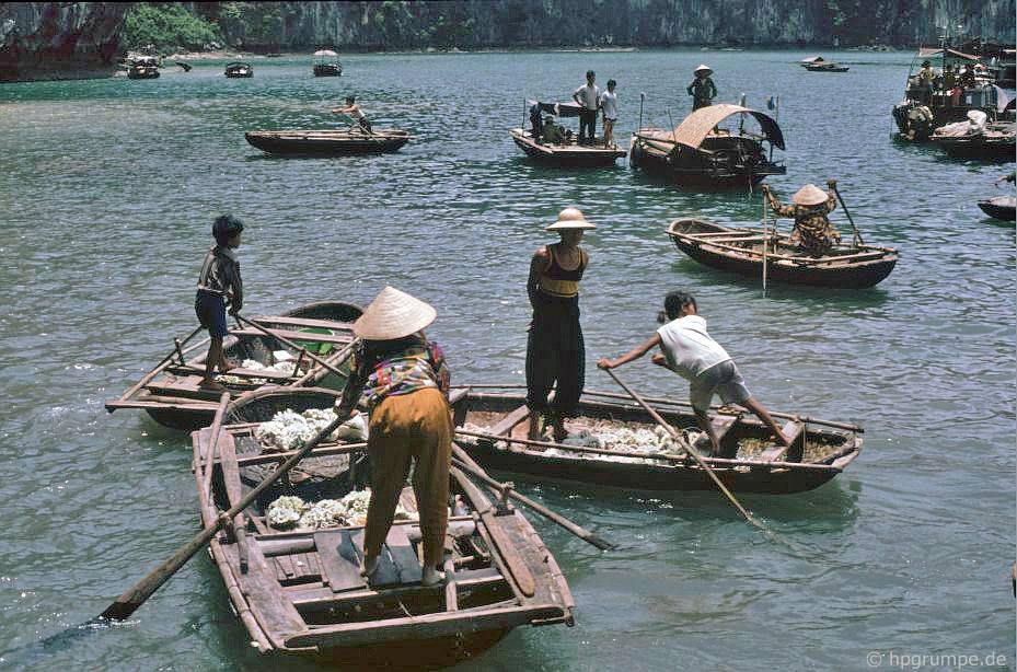 chum anh mau hiem co ve vinh ha long nhung nam 90