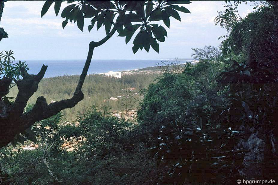 chum anh mau hiem ve nhip song binh di cua da nang nhung nam 90