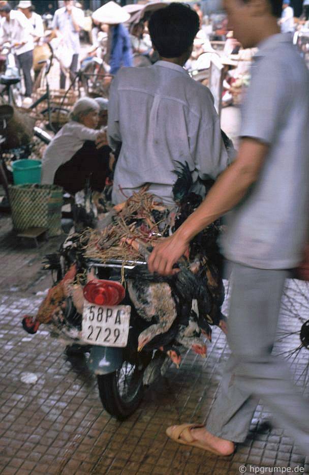 chum anh hiem co kho tim ve mot sai gon ruc ro nhung nam 90