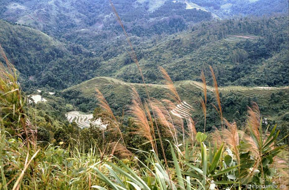 chum anh ve dep hoang so cua cao bang nhung nam 90 qua ong kinh cua nhiep anh gia duc
