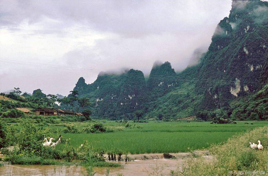 chum anh ve dep hoang so cua cao bang nhung nam 90 qua ong kinh cua nhiep anh gia duc