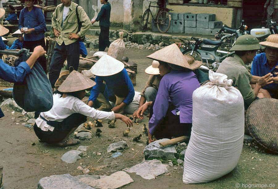 chum anh ve dep hoang so cua cao bang nhung nam 90 qua ong kinh cua nhiep anh gia duc
