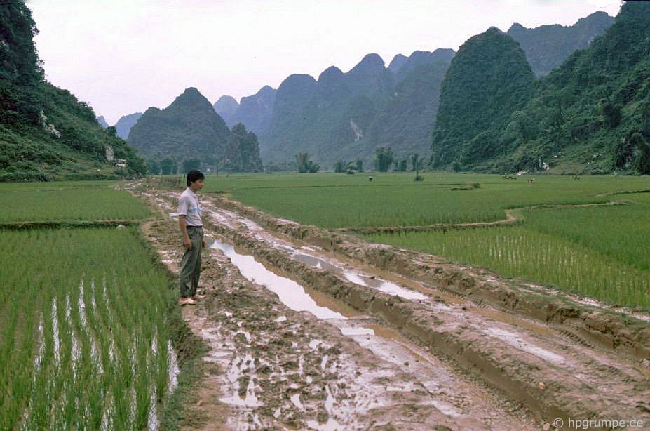 chum anh ve dep hoang so cua cao bang nhung nam 90 qua ong kinh cua nhiep anh gia duc