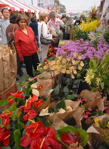 Chợ hoa Tết Little Sài Gòn-Mỹ đón hàng trăm lượt khách mỗi ngày hang tram nguoi den little sai gon my di cho hoa tet sua soan don xuan canh ty 2020