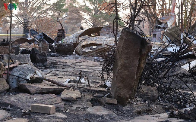 Cộng đồng người Việt chung tay giúp Australia khắc phục hậu quả cháy rừng cong dong nguoi viet chung tay giup australia khac phuc hau qua chay rung