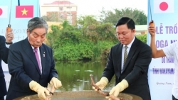 cay delonix hoang gia duoc chon trong nhan le trong cay tai khu vuon huu nghi cong vien hoa binh ha noi